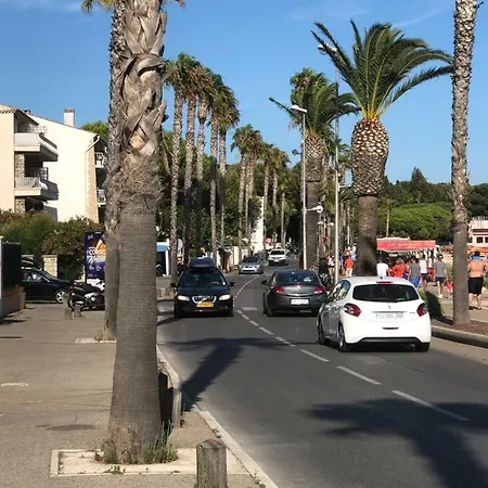 Tres Beau En Front De Mer *